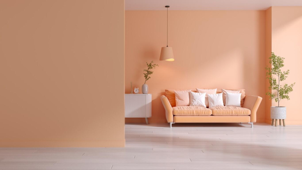 Peach Fuzz — цвет 2024 года в дизайне, его особенности